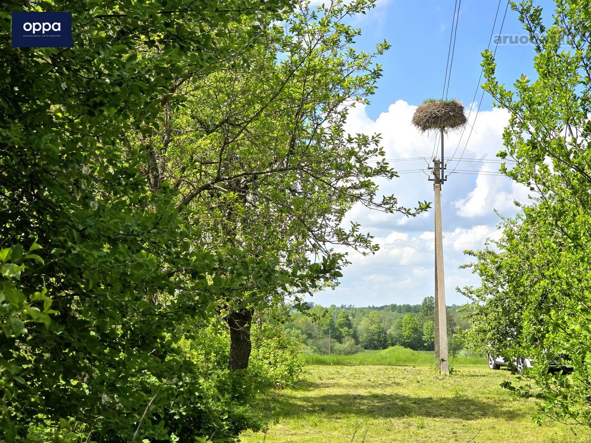 Parduodama autentiška sodyba gamtos apsuptyje - nuotraukos Nr. 2