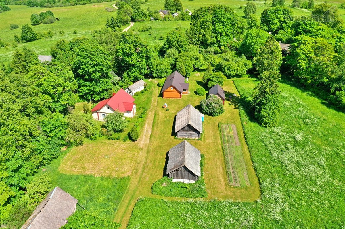 Kalvų, Klonių Ir Miškų Apsuptyje, Itin - nuotraukos Nr. 3