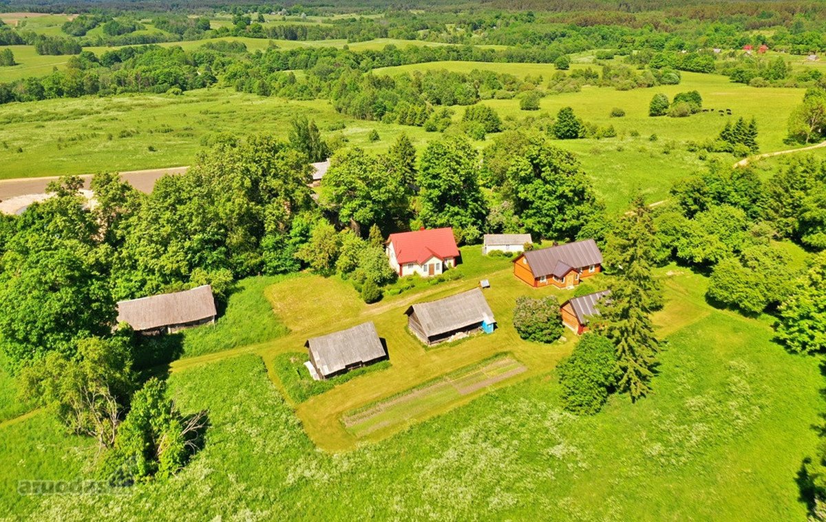 Kalvų, Klonių Ir Miškų Apsuptyje, Itin - nuotraukos Nr. 5