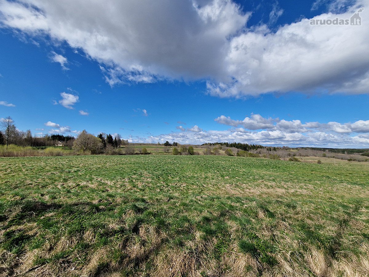 Kalvų, Klonių Ir Miškų Apsuptyje, Itin - nuotraukos Nr. 18