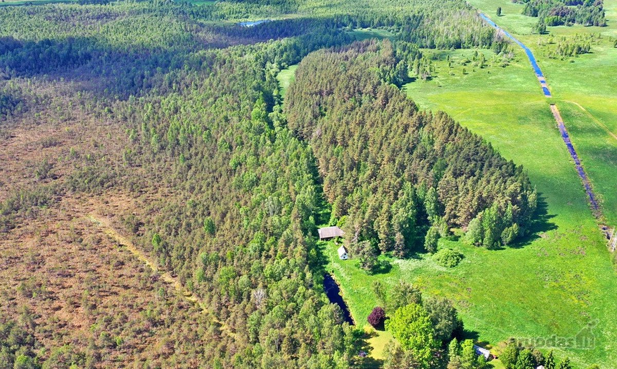 Šalia Molėtų miesto, labai ramioje ir - nuotraukos Nr. 4