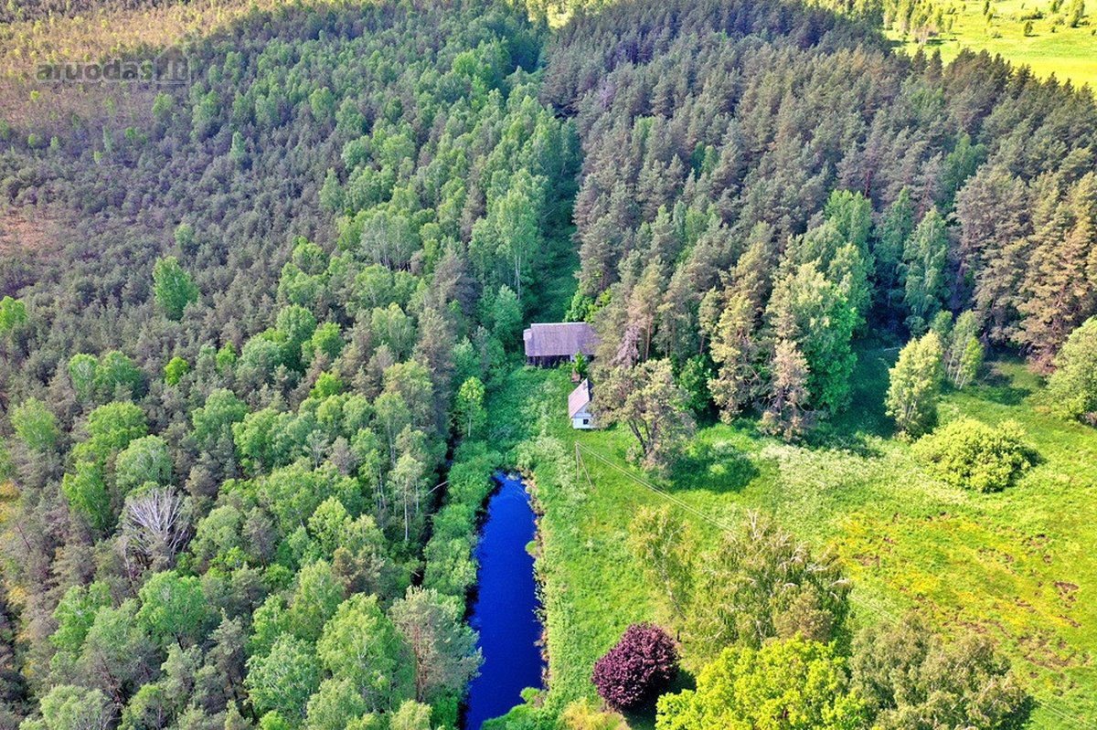 Šalia Molėtų miesto, labai ramioje ir - nuotraukos Nr. 5