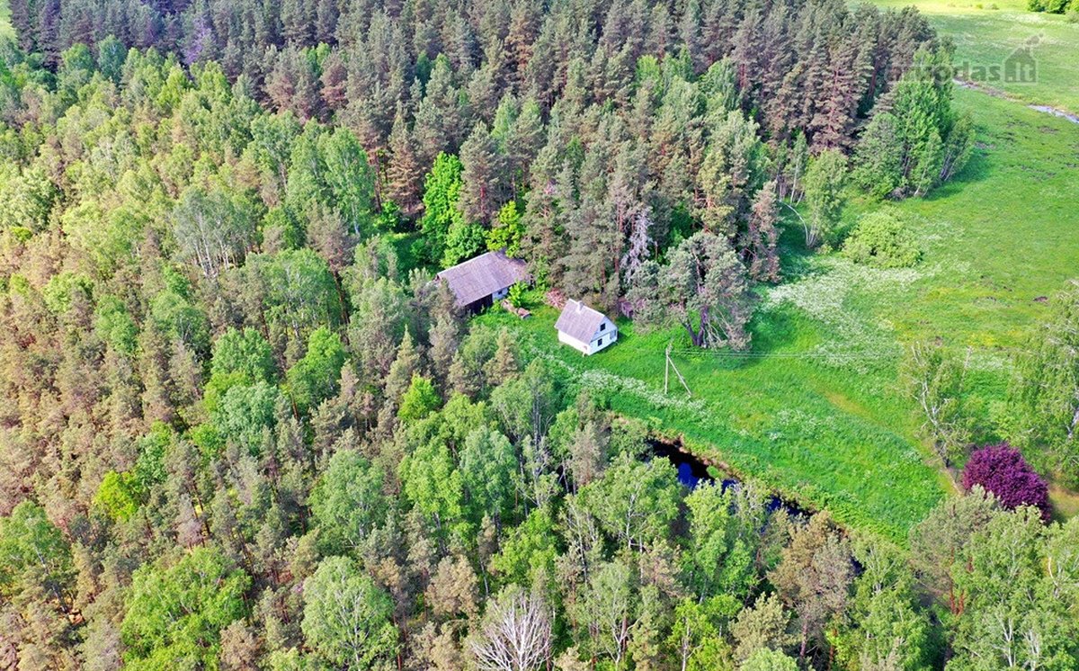 Šalia Molėtų miesto, labai ramioje ir - nuotraukos Nr. 6