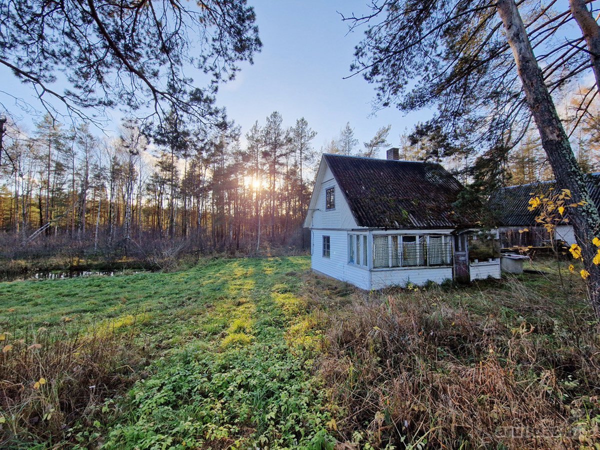 Šalia Molėtų miesto, labai ramioje ir - nuotraukos Nr. 10