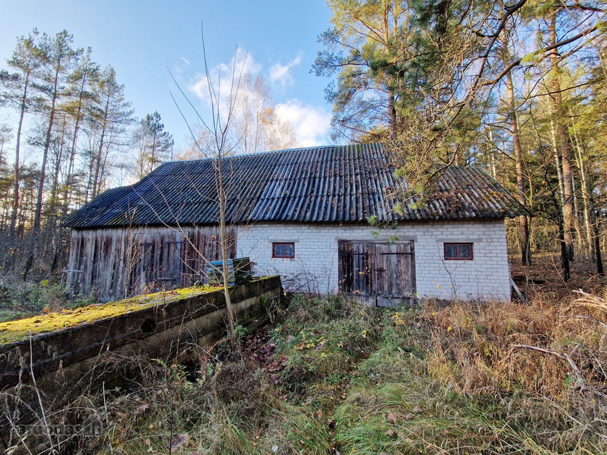 Šalia Molėtų miesto, labai ramioje ir - nuotraukos Nr. 12