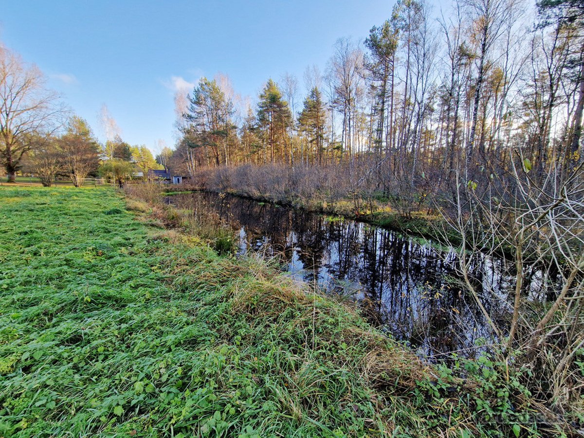 Šalia Molėtų miesto, labai ramioje ir - nuotraukos Nr. 14