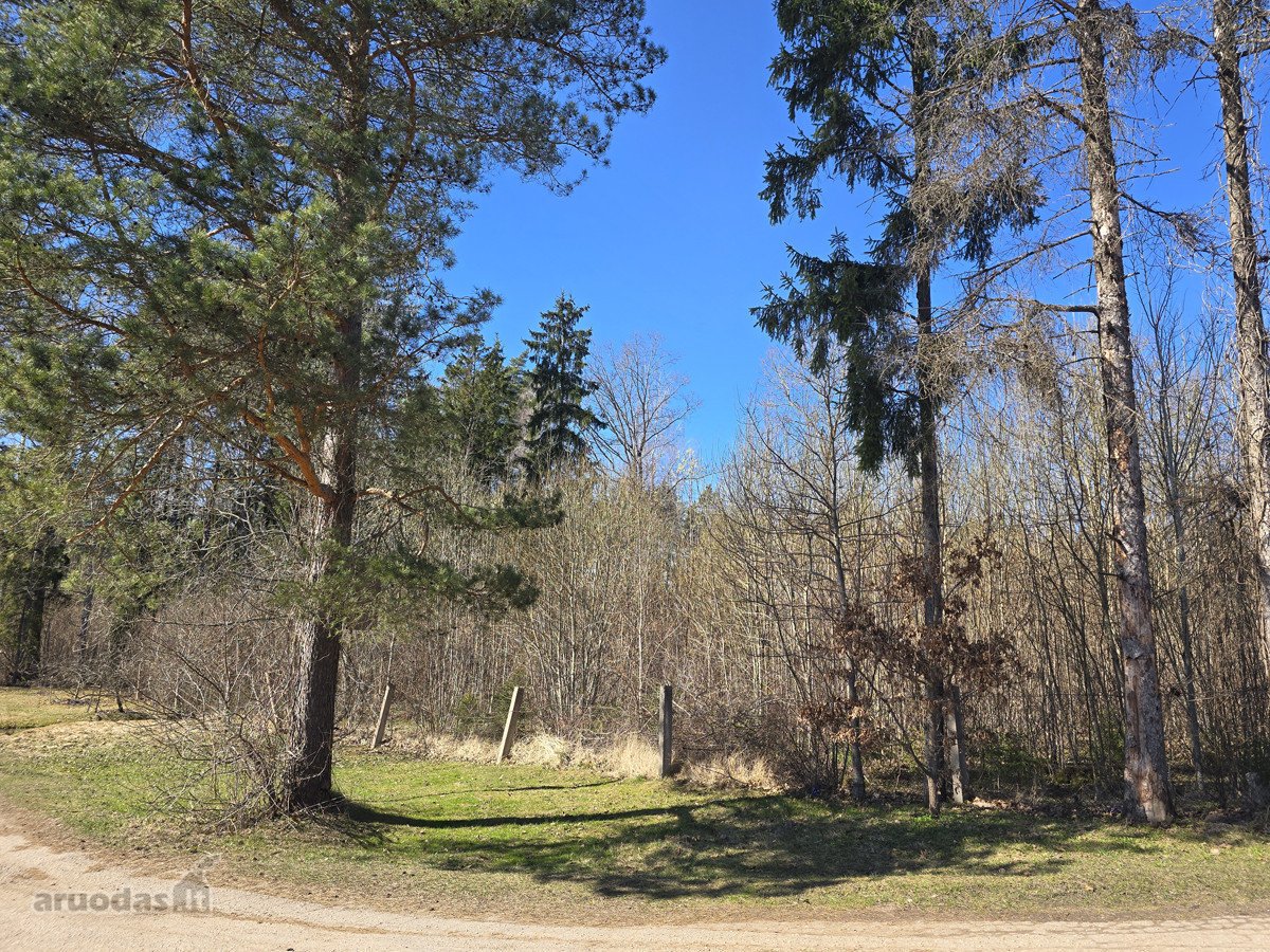 Pušynų apsuptyje, visai šalia Utenos miesto, - nuotraukos Nr. 8