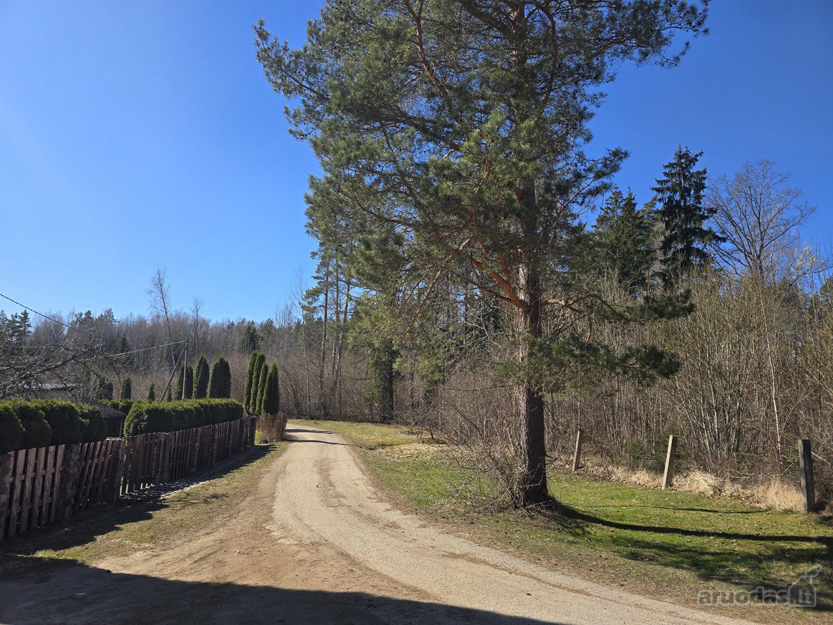 Pušynų apsuptyje, visai šalia Utenos miesto, - nuotraukos Nr. 9