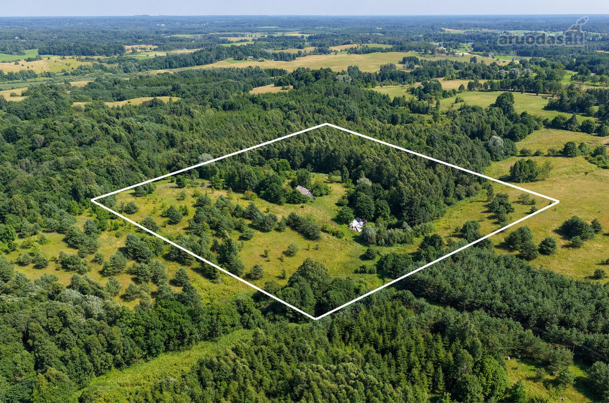 Pušyno apsuptyje, ant aukštos kalvos - nuotraukos Nr. 2