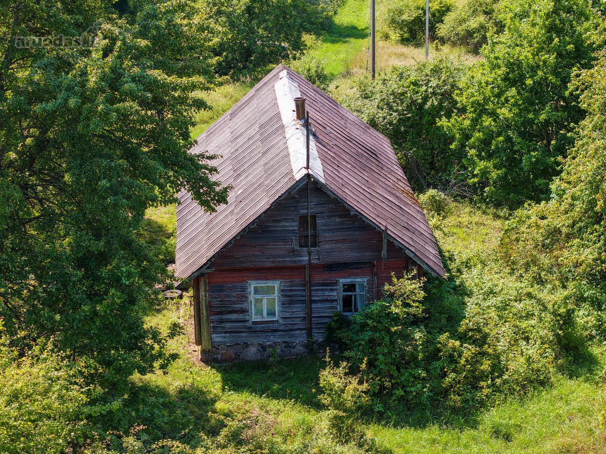 Pušyno apsuptyje, ant aukštos kalvos - nuotraukos Nr. 3
