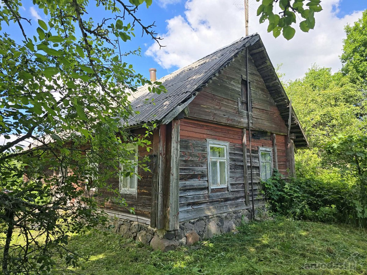 Pušyno apsuptyje, ant aukštos kalvos - nuotraukos Nr. 4