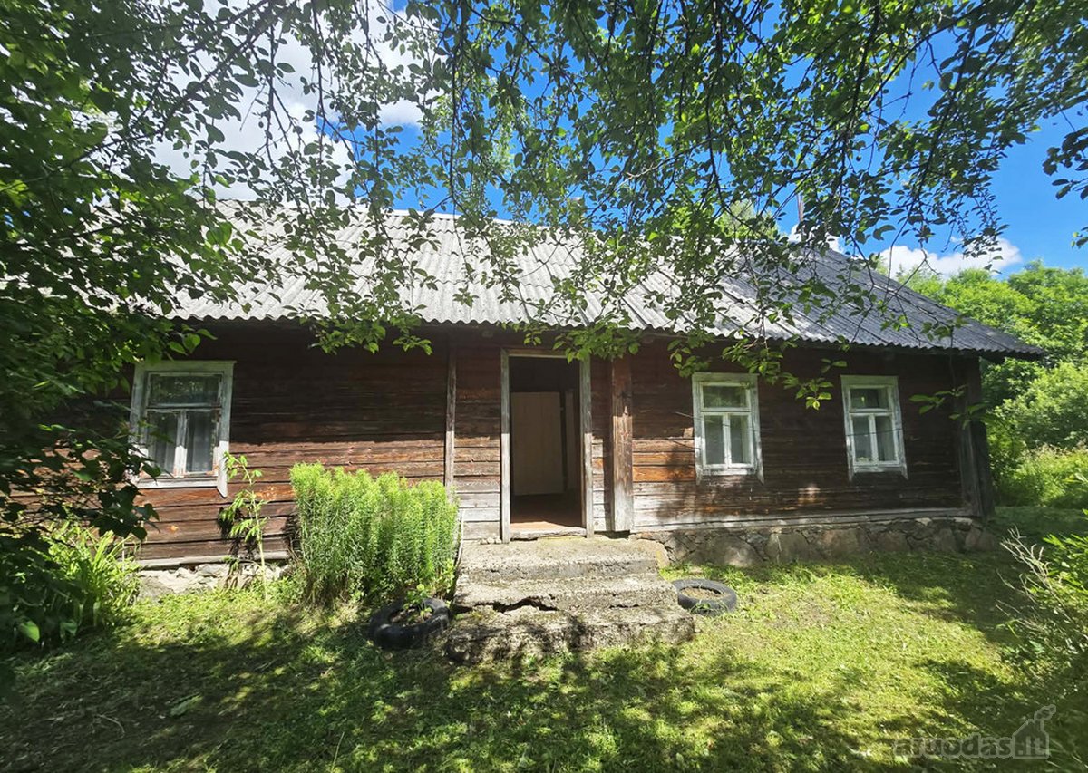 Pušyno apsuptyje, ant aukštos kalvos - nuotraukos Nr. 6