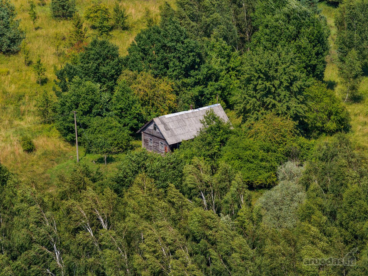 Pušyno apsuptyje, ant aukštos kalvos - nuotraukos Nr. 12