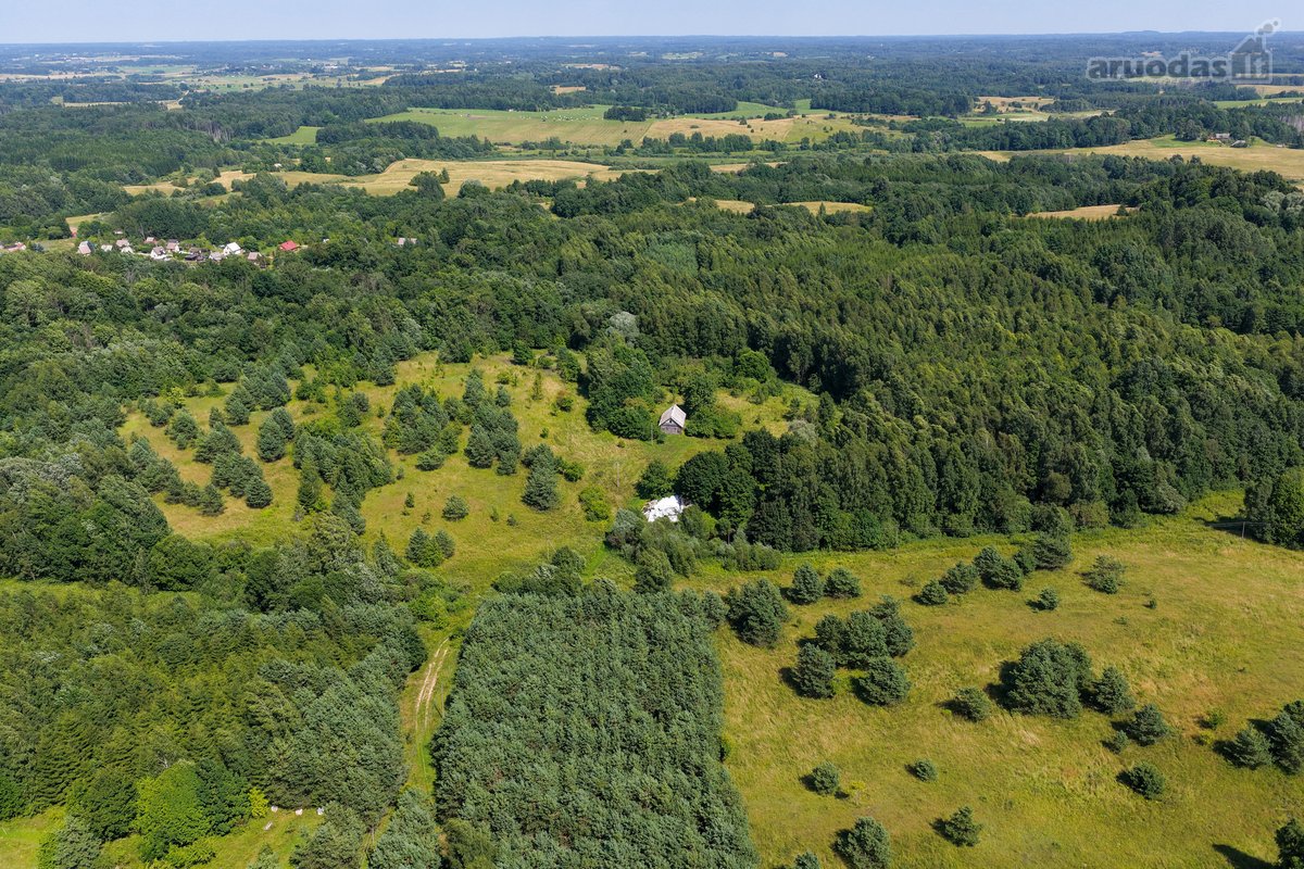 Pušyno apsuptyje, ant aukštos kalvos - nuotraukos Nr. 13