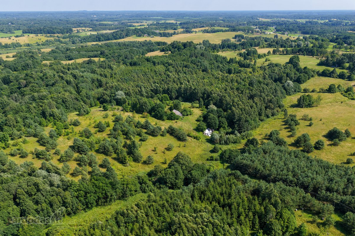 Pušyno apsuptyje, ant aukštos kalvos - nuotraukos Nr. 15