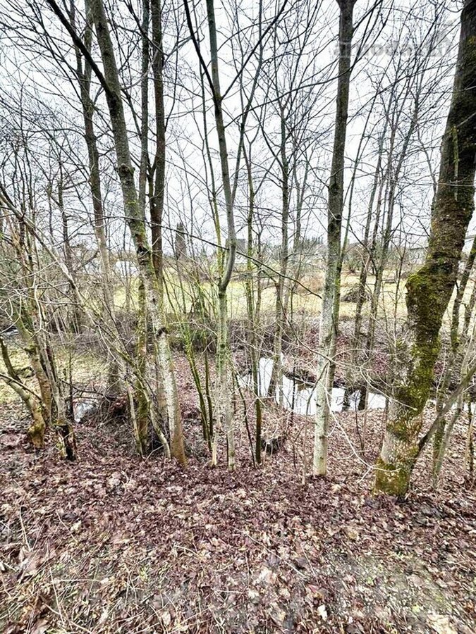 Išskirtinai privačioje vietoje parduodamas - nuotraukos Nr. 13