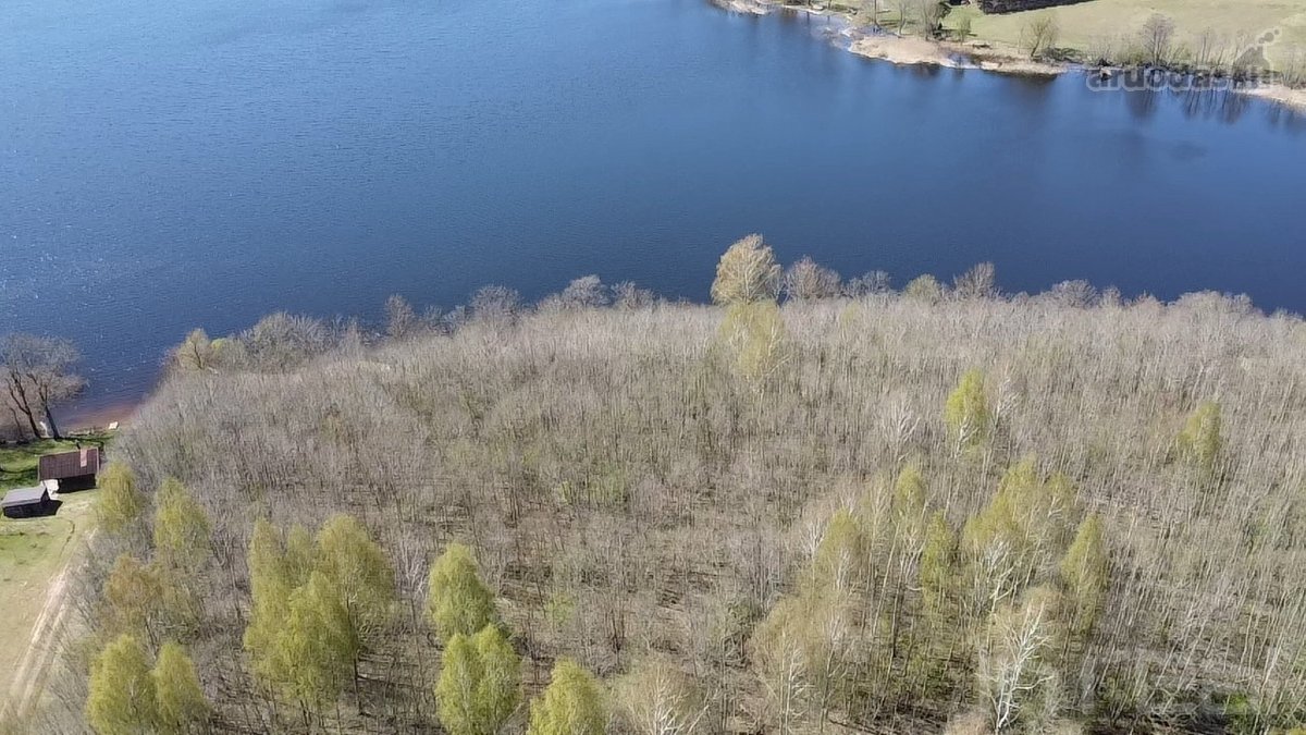 Parduodamas didelis, gražus sklypas Anykščių - nuotraukos Nr. 11