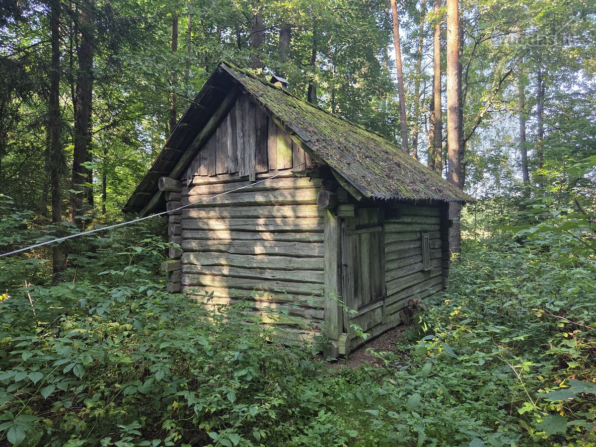 Autentiška Rąstinė Sodyba Miškų Apsuptyje –4 - nuotraukos Nr. 10