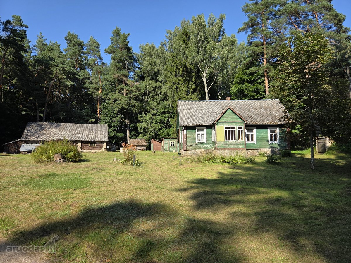 Autentiška Rąstinė Sodyba Miškų Apsuptyje –4 - nuotraukos Nr. 12