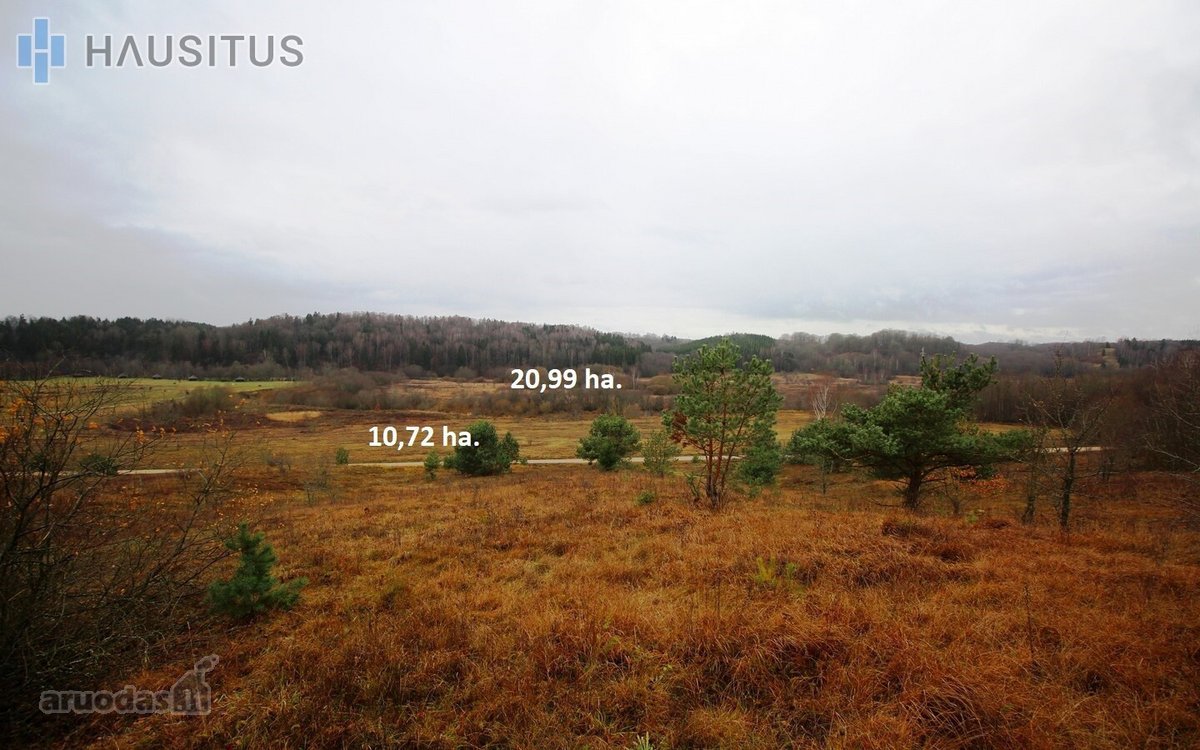Parduodami Du 31,7 Ha. Bendro Ploto Sklypai, - nuotraukos Nr. 2