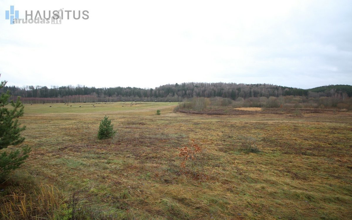 Parduodami Du 31,7 Ha. Bendro Ploto Sklypai, - nuotraukos Nr. 3