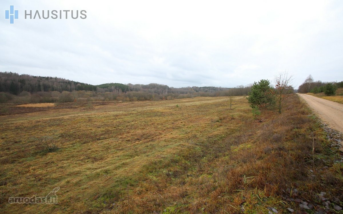 Parduodami Du 31,7 Ha. Bendro Ploto Sklypai, - nuotraukos Nr. 4