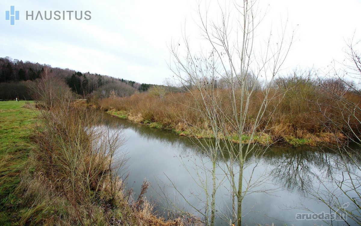 Parduodami Du 31,7 Ha. Bendro Ploto Sklypai, - nuotraukos Nr. 5