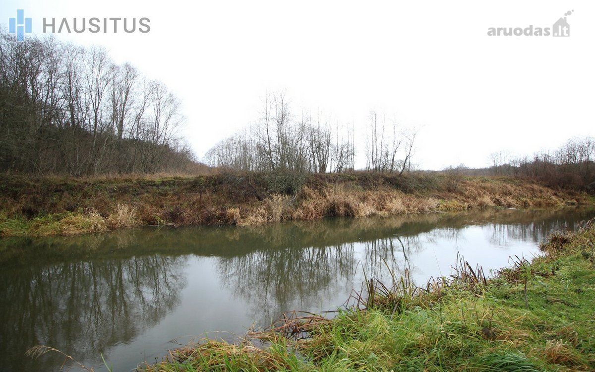 Parduodami Du 31,7 Ha. Bendro Ploto Sklypai, - nuotraukos Nr. 6