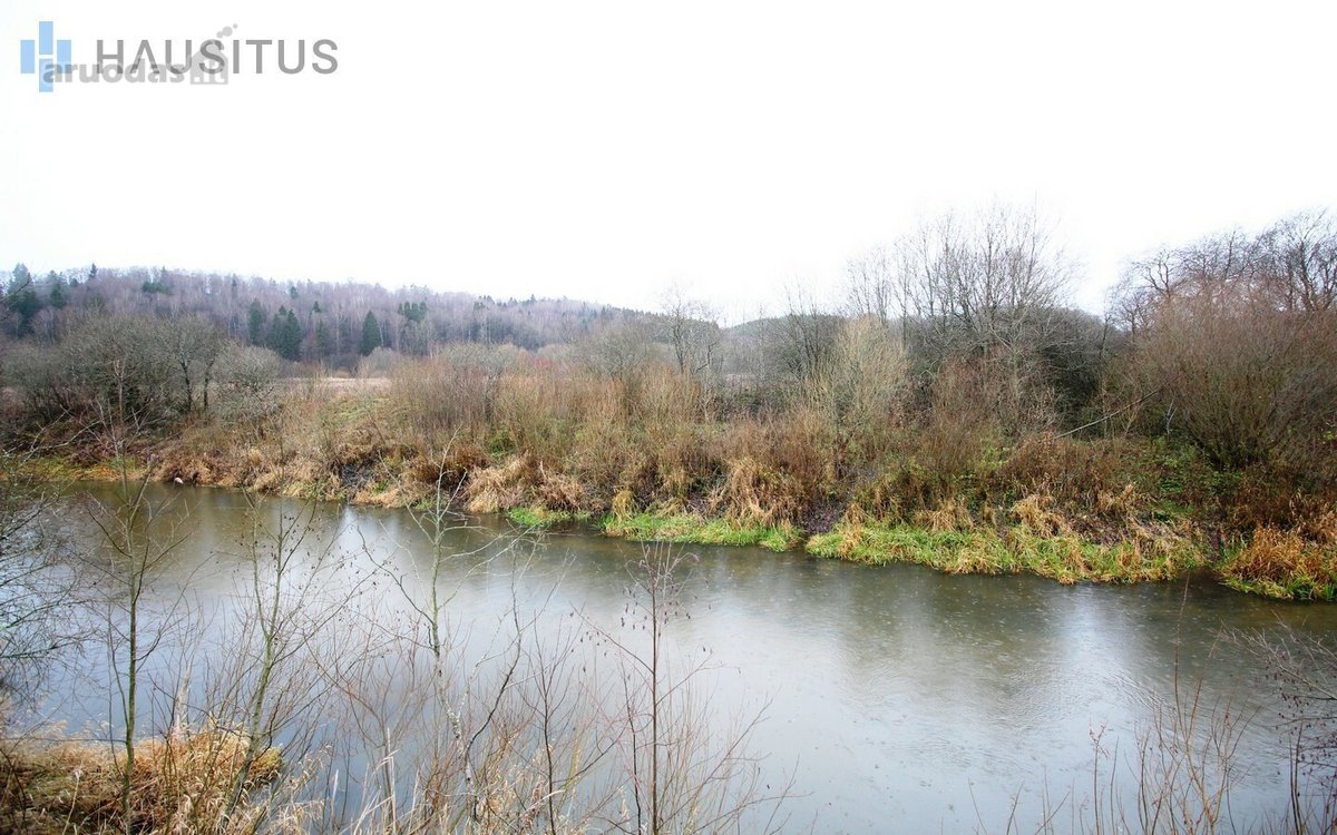 Parduodami Du 31,7 Ha. Bendro Ploto Sklypai, - nuotraukos Nr. 7