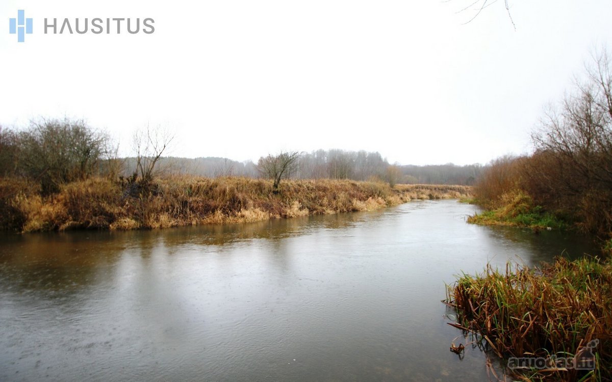 Parduodami Du 31,7 Ha. Bendro Ploto Sklypai, - nuotraukos Nr. 9