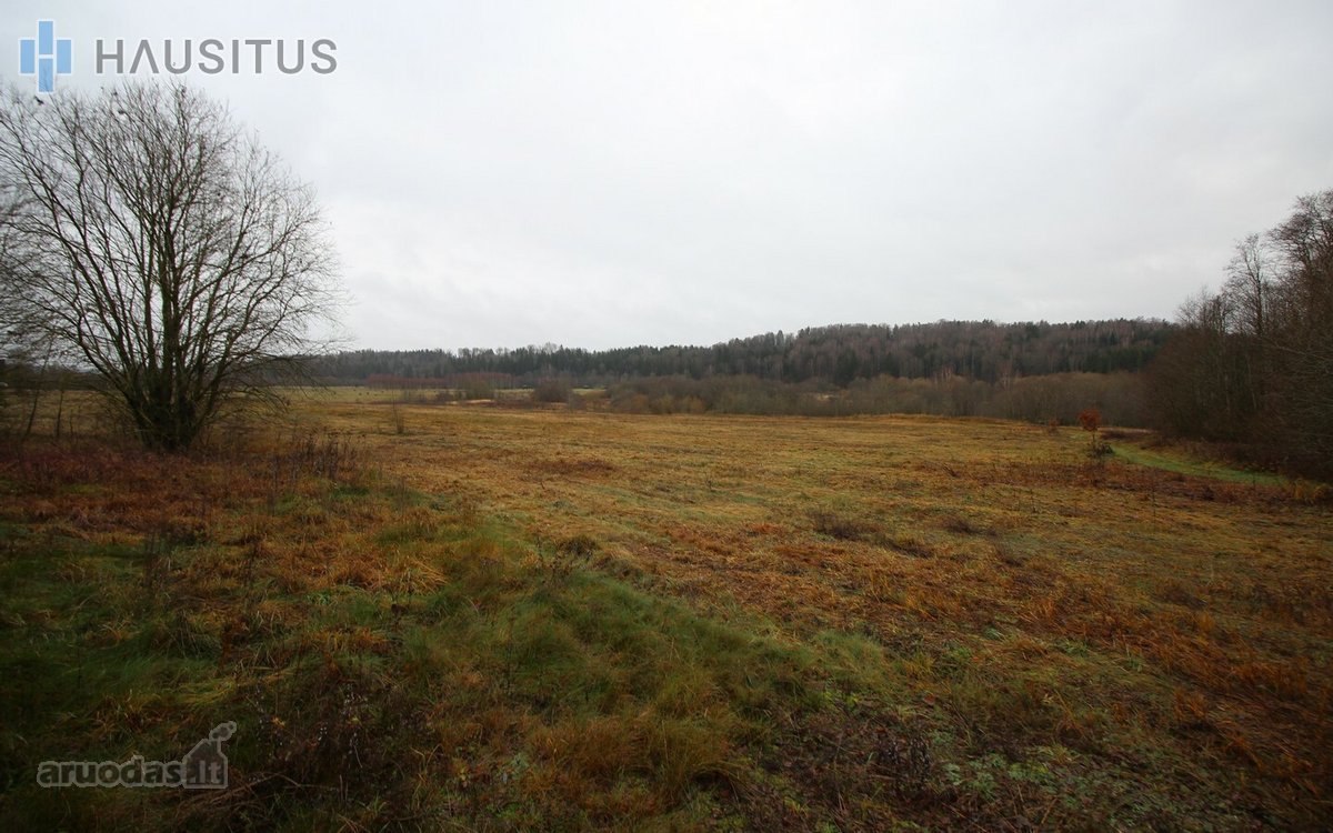 Parduodami Du 31,7 Ha. Bendro Ploto Sklypai, - nuotraukos Nr. 10