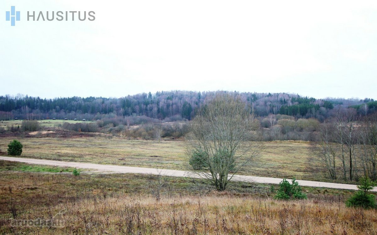 Parduodami Du 31,7 Ha. Bendro Ploto Sklypai, - nuotraukos Nr. 11