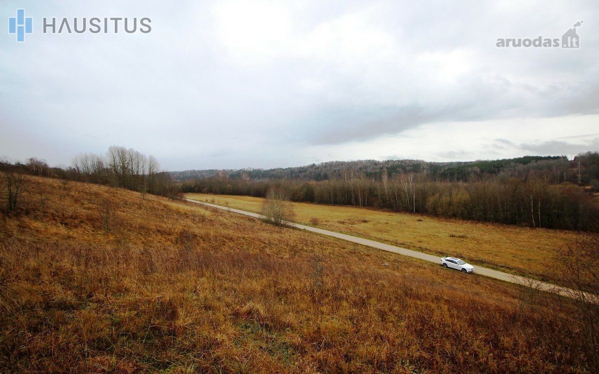 Parduodami Du 31,7 Ha. Bendro Ploto Sklypai, - nuotraukos Nr. 12