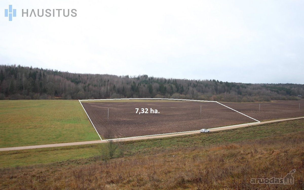 Parduodami Du 31,7 Ha. Bendro Ploto Sklypai, - nuotraukos Nr. 14