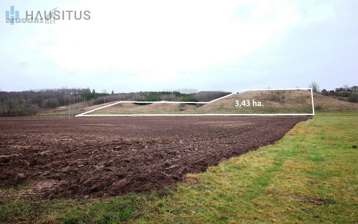 Parduodami Du 31,7 Ha. Bendro Ploto Sklypai, - nuotraukos Nr. 15