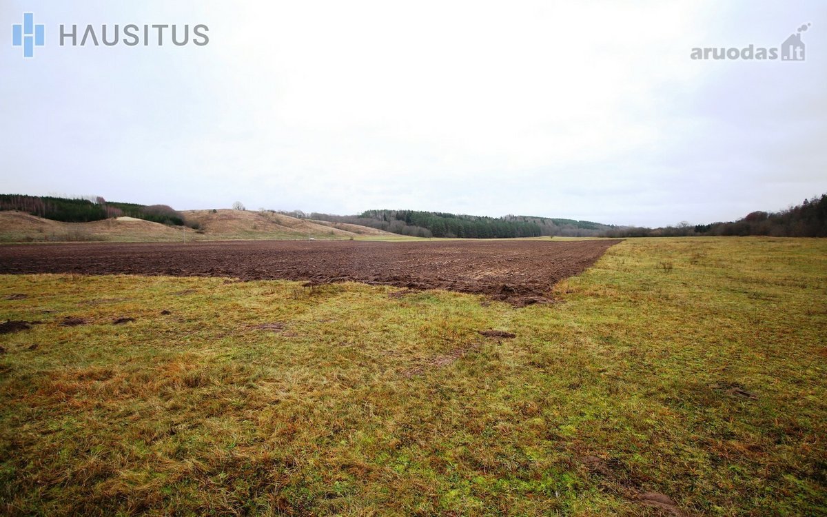 Parduodami Du 31,7 Ha. Bendro Ploto Sklypai, - nuotraukos Nr. 16