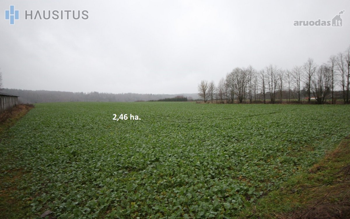 Parduodami Du 31,7 Ha. Bendro Ploto Sklypai, - nuotraukos Nr. 17