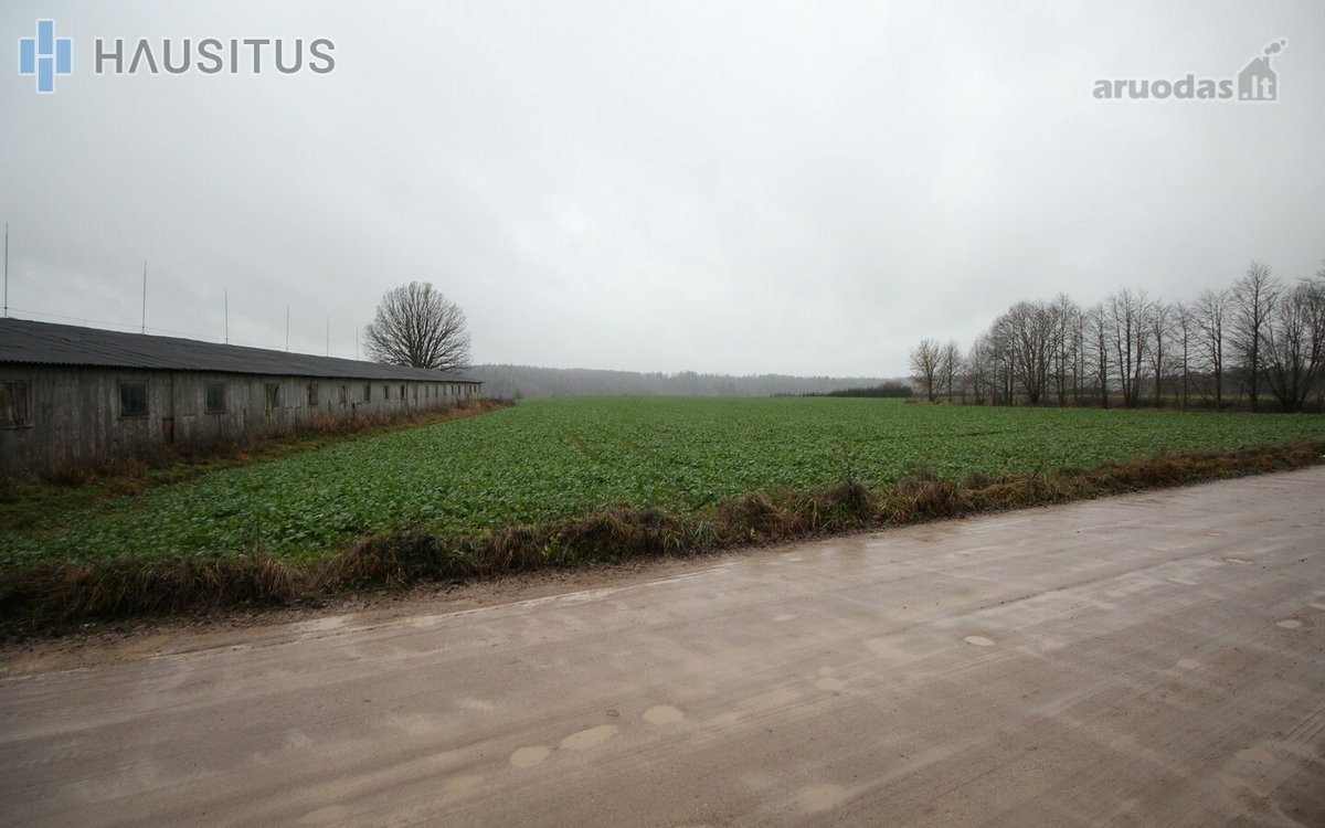 Parduodami Du 31,7 Ha. Bendro Ploto Sklypai, - nuotraukos Nr. 18