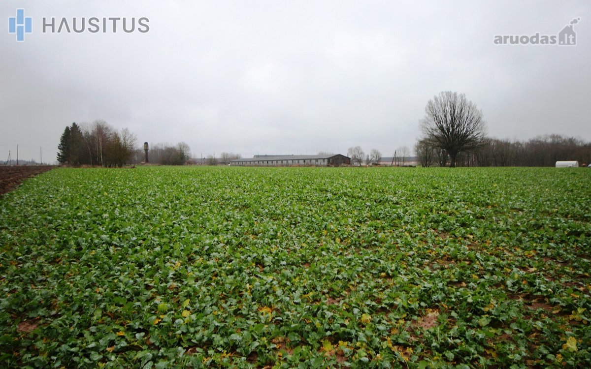 Parduodami Du 31,7 Ha. Bendro Ploto Sklypai, - nuotraukos Nr. 19