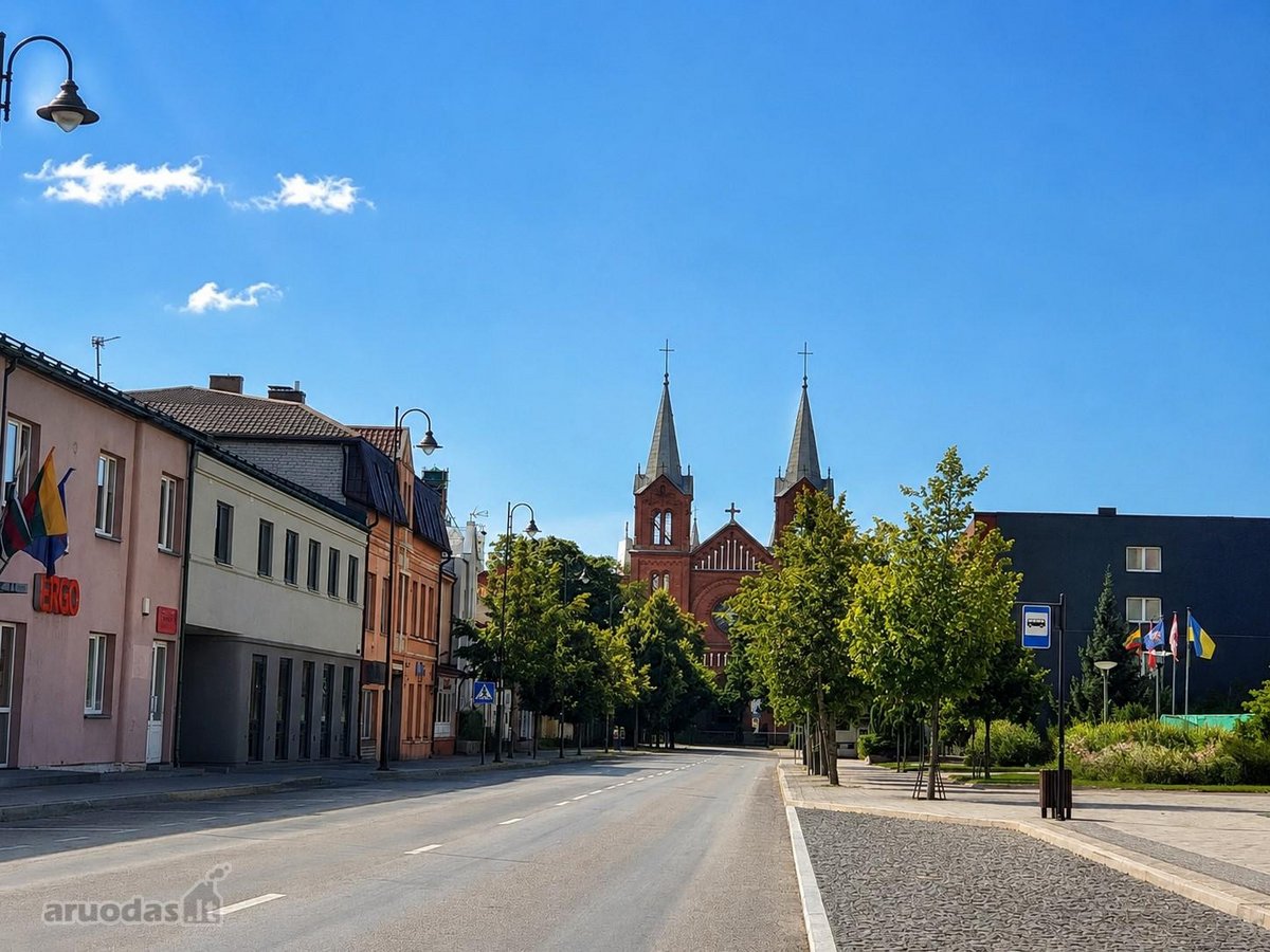 Parduodamas Erdvus 1 Kambario Butas Su Holu, - nuotraukos Nr. 21