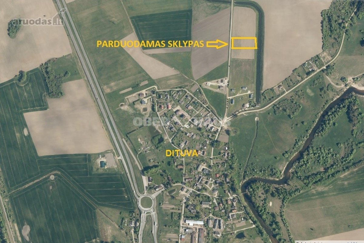 Didelis sklypas gyvenamajai statybai Dituvos - nuotraukos Nr. 2