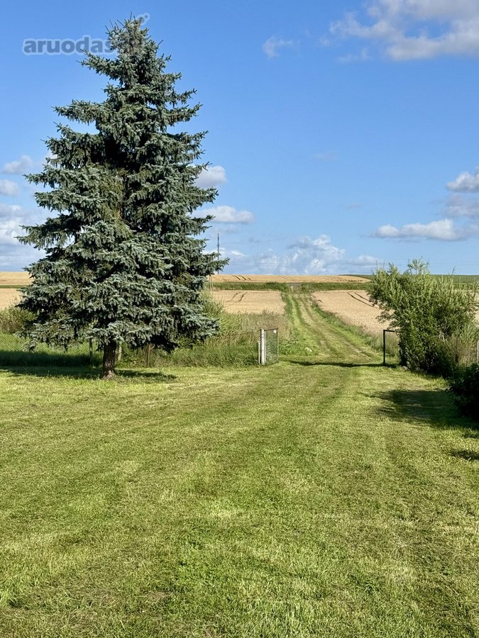 Parduodama Jauki Ir Privati 2,9 Ha Sodyba - nuotraukos Nr. 29