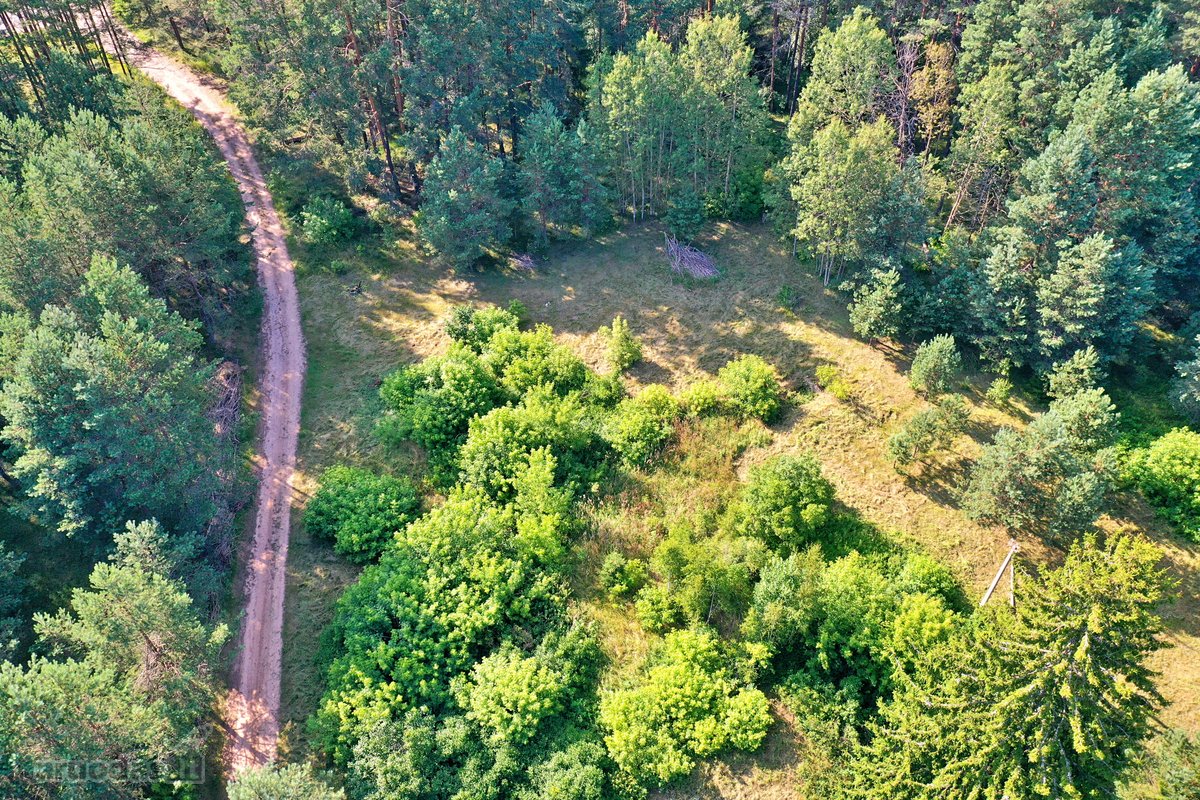 Zarasų rajone, Gailiutiškės vienkiemyje, - nuotraukos Nr. 3