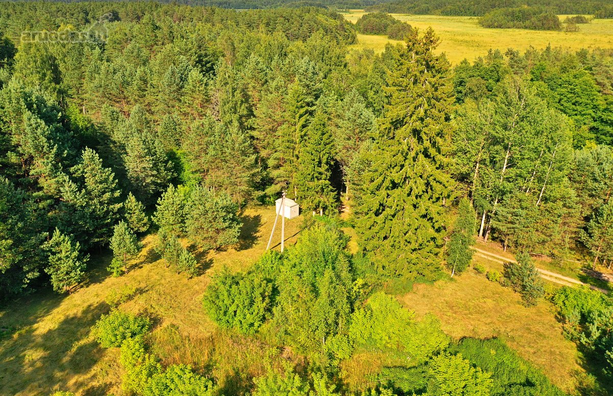 Zarasų rajone, Gailiutiškės vienkiemyje, - nuotraukos Nr. 4