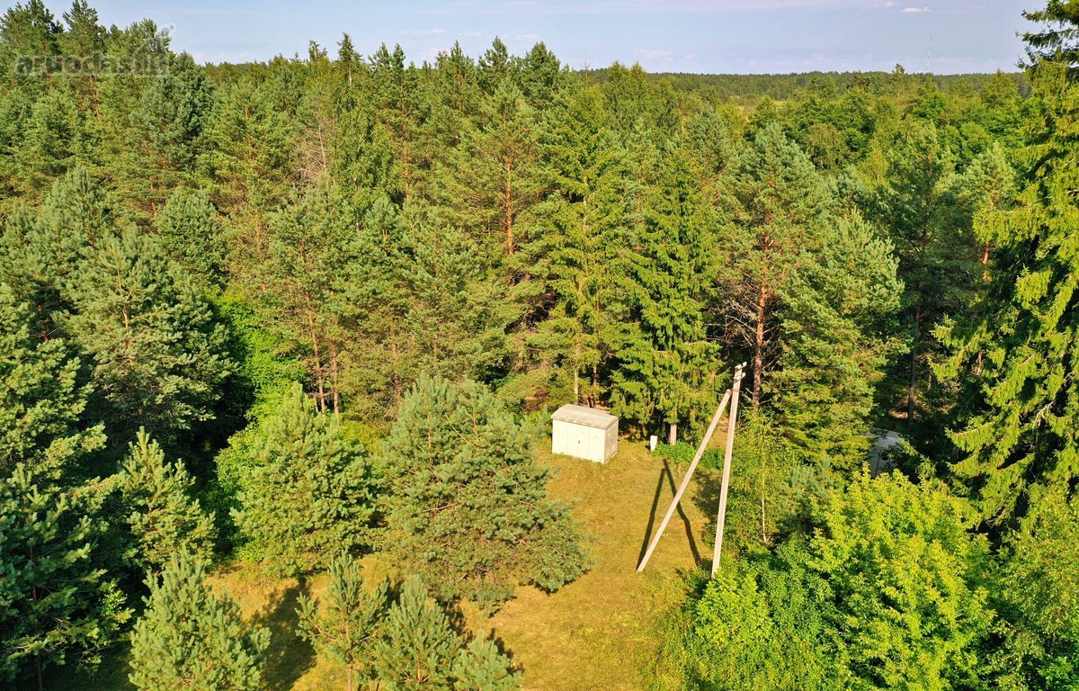 Zarasų rajone, Gailiutiškės vienkiemyje, - nuotraukos Nr. 6
