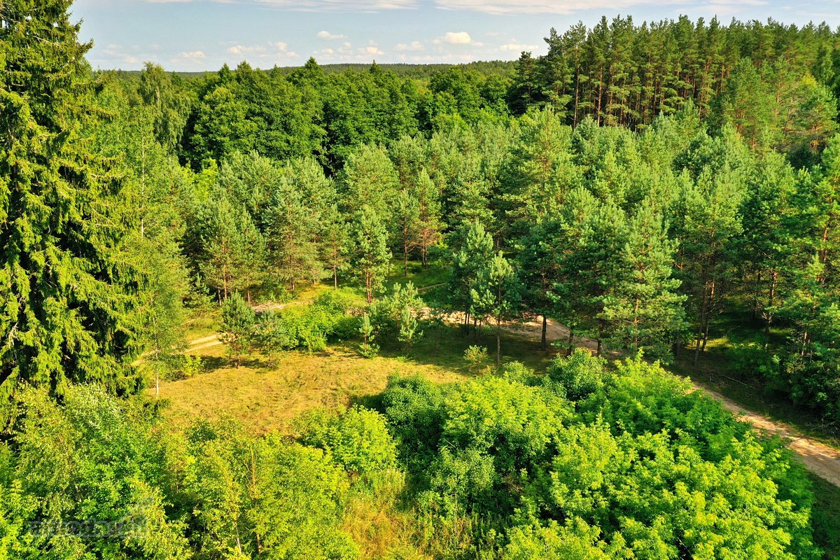 Zarasų rajone, Gailiutiškės vienkiemyje, - nuotraukos Nr. 7