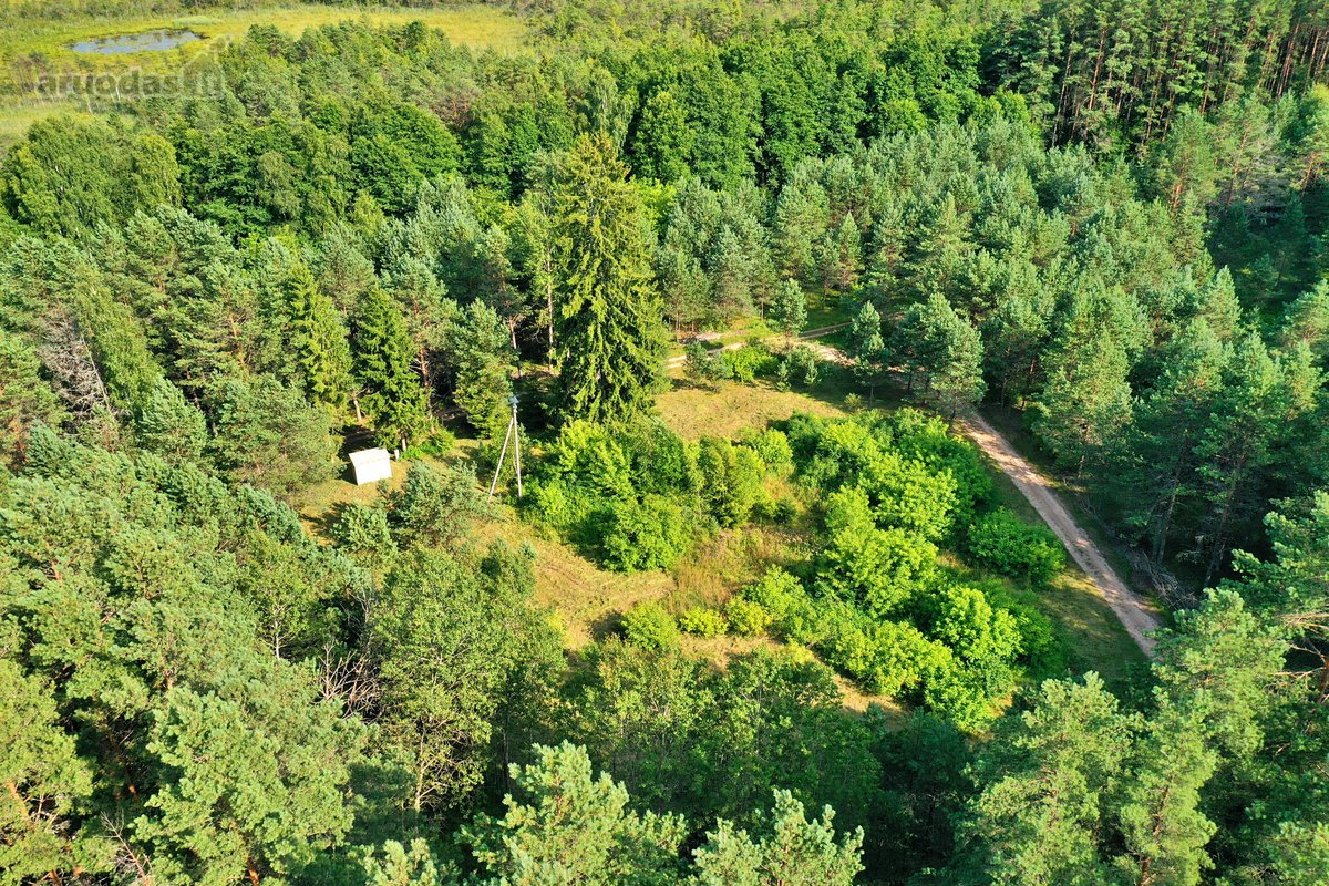 Zarasų rajone, Gailiutiškės vienkiemyje, - nuotraukos Nr. 9