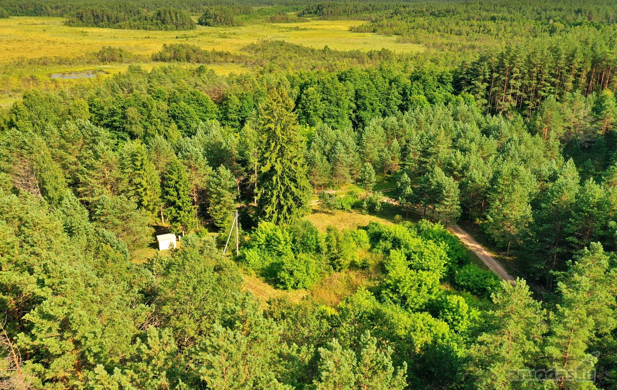 Zarasų rajone, Gailiutiškės vienkiemyje, - nuotraukos Nr. 10