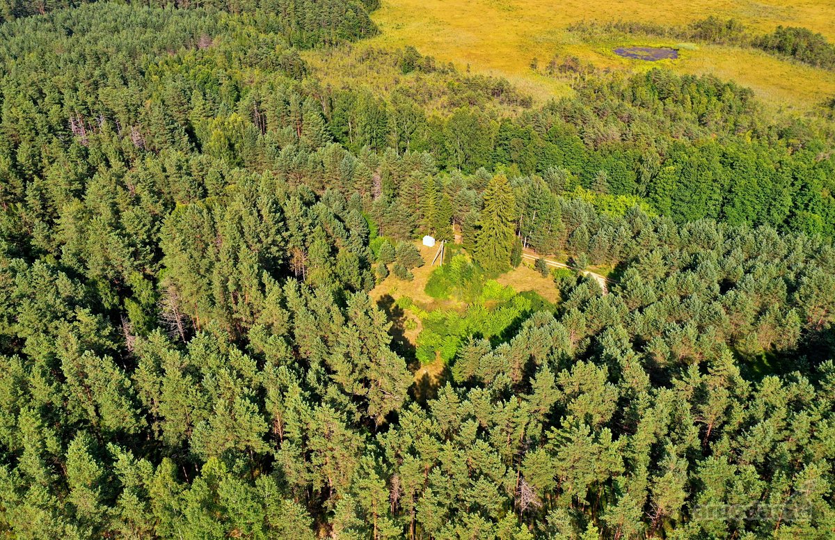 Zarasų rajone, Gailiutiškės vienkiemyje, - nuotraukos Nr. 11