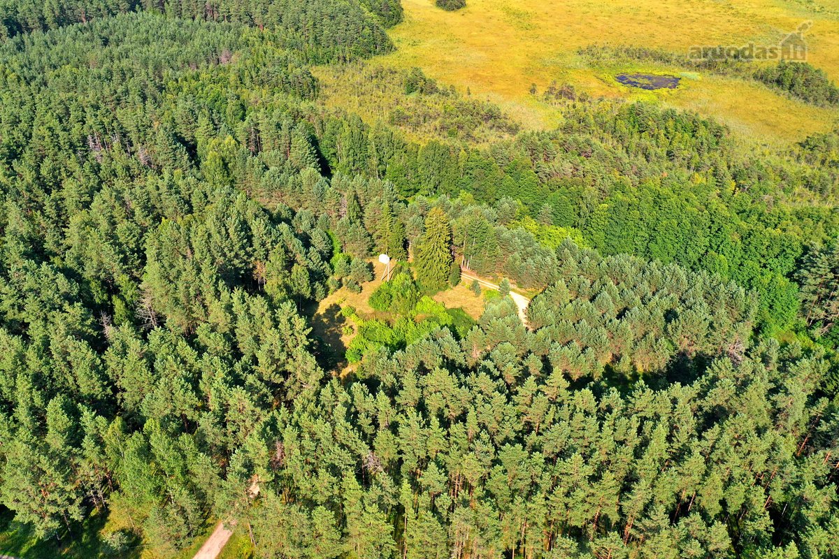 Zarasų rajone, Gailiutiškės vienkiemyje, - nuotraukos Nr. 12